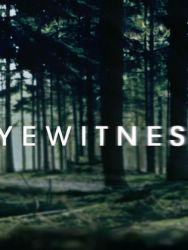 目击证人第一季